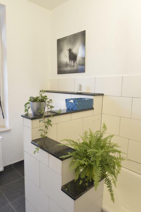 Kaiserliche Hofpost, Mit Whirlpool Und 2 Terrassen Шлайден Екстериор снимка